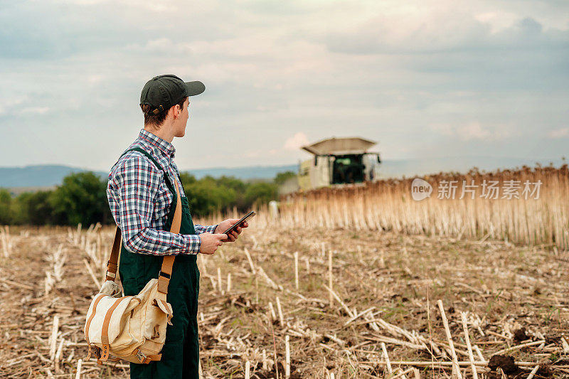 年轻的男性农民在向日葵收获期间使用药片