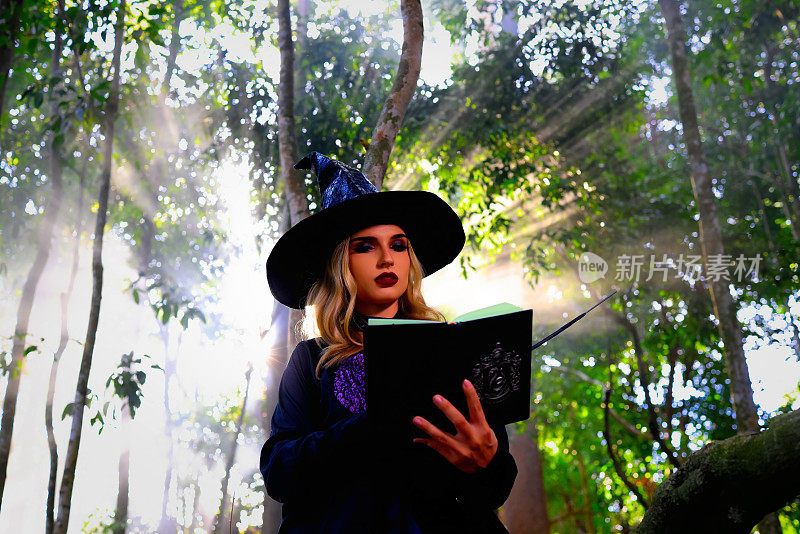 女巫祈祷的魔法书在森林里，万圣节的概念