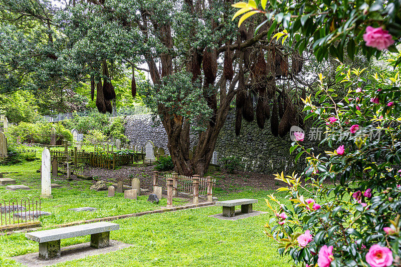 新西兰惠灵顿的博尔顿街纪念公园以前被称为博尔顿街公墓。