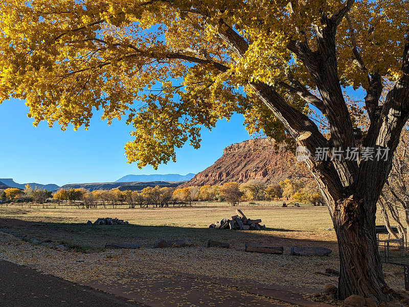 犹他州罗克维尔的格拉夫顿路和秋天荣耀的棉木树