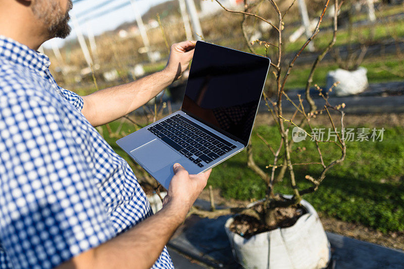 男子用手提电脑检查浆果农场的植物
