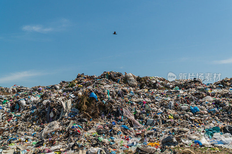 一个大的垃圾填埋场。填埋城市生活垃圾。一只海鸥飞过垃圾堆