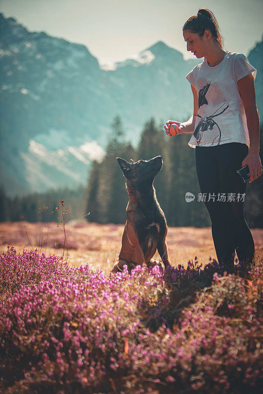 年轻女子在山间草地上和狗玩球