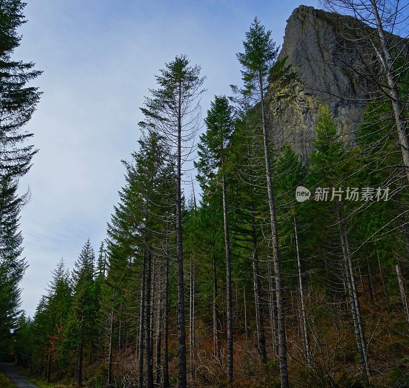 俄勒冈狼岩路