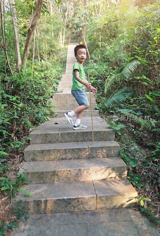 孩子们在风景如画的山上徒步旅行