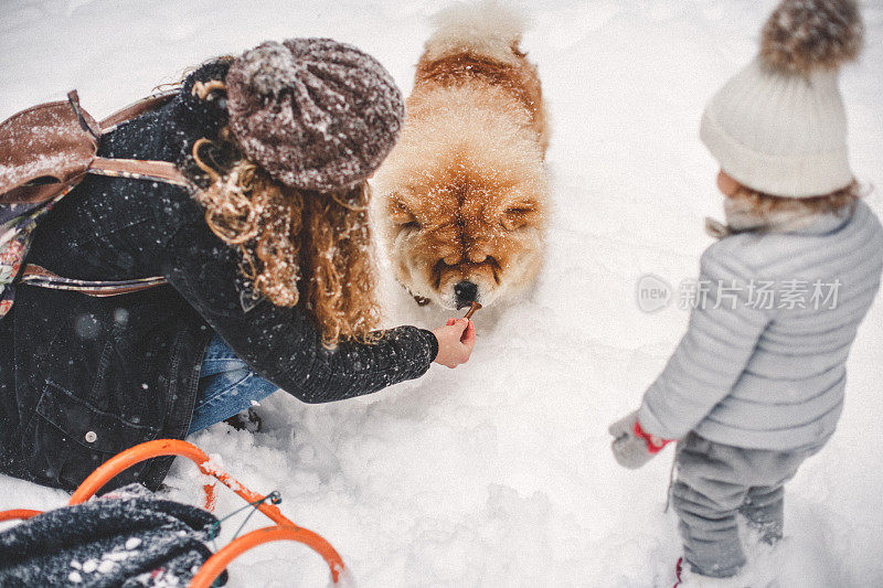 雪中的聚会时间