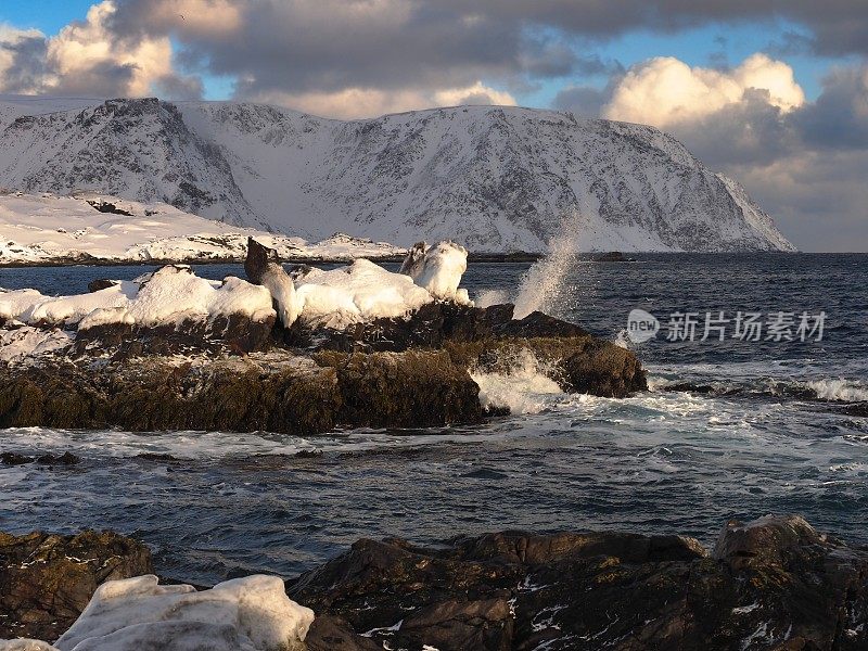 冰冻的海岸线上的北冰洋波浪