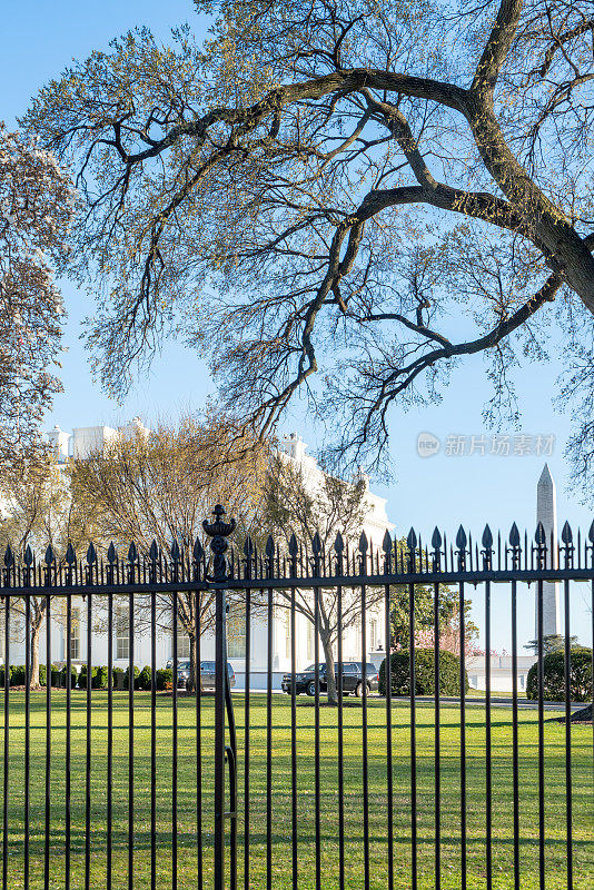 白宫在国家樱花节期间，华盛顿特区，美国