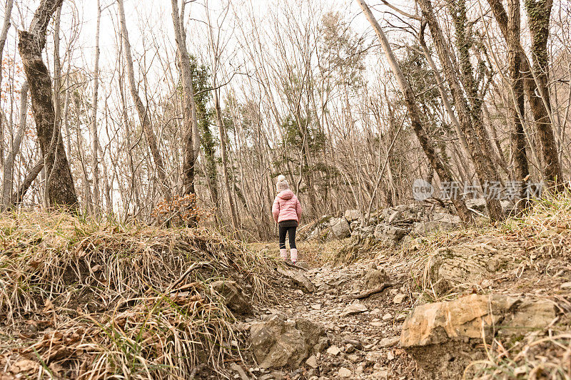 后视图的女孩走在森林在寒冷的冬天的一天
