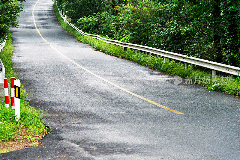 蜿蜒的道路穿过绿色的森林