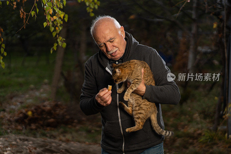 老人在后院抱着并喂猫