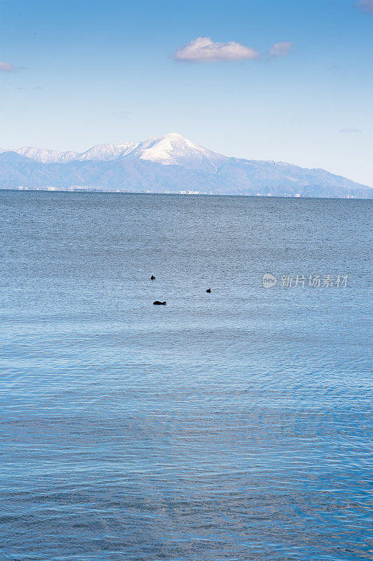 日本镰仓美丽的海滩海景，背景是萨拉米湾。