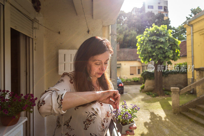 准备一株植物换盆