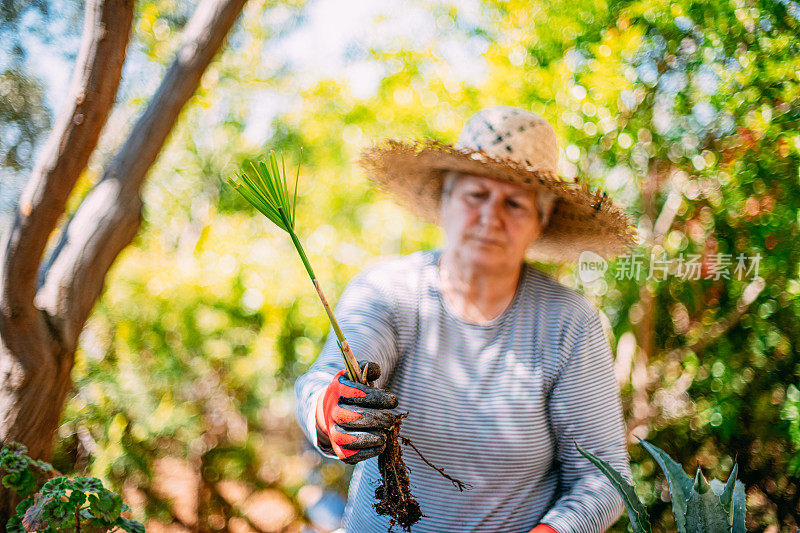 在花园里照料植物的女人