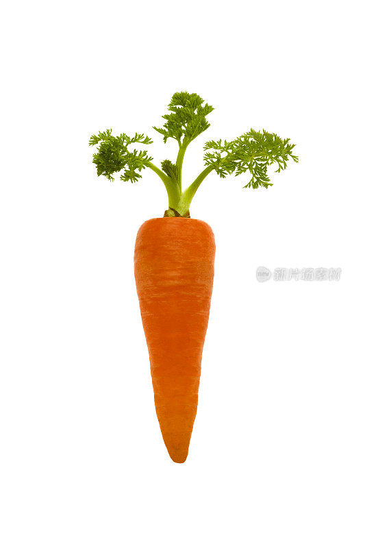 一个胡萝卜