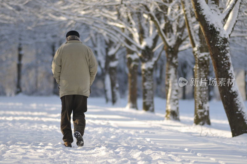 公园的雪