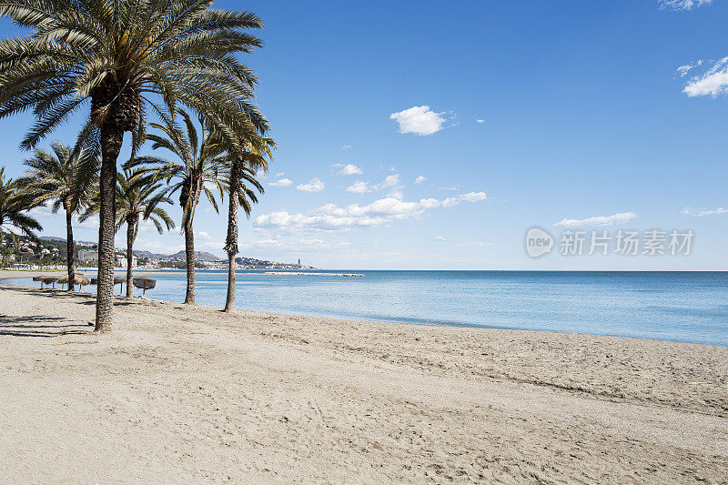 海岸边的棕榈树，海滩和蓝天