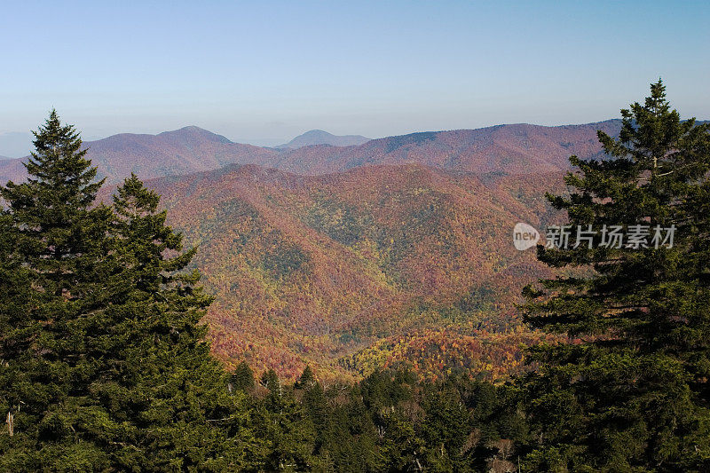 烟山树景