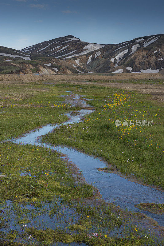 冰岛，Landmannalaugar河山脉和野花