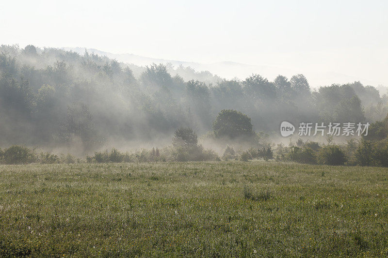 在克罗地亚Plitvice雾气蒙蒙的春日清晨草地上