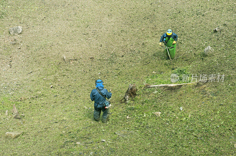 在日本，两个人正在用除草机割草