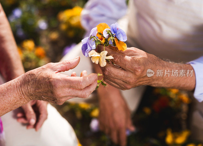 一个面目全非的老男人送花给老女人。