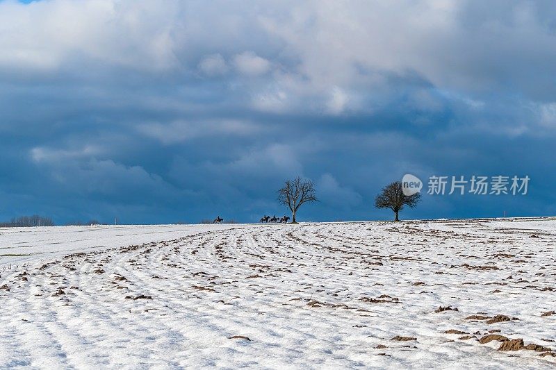 斯瓦比安阿尔布的骑马者