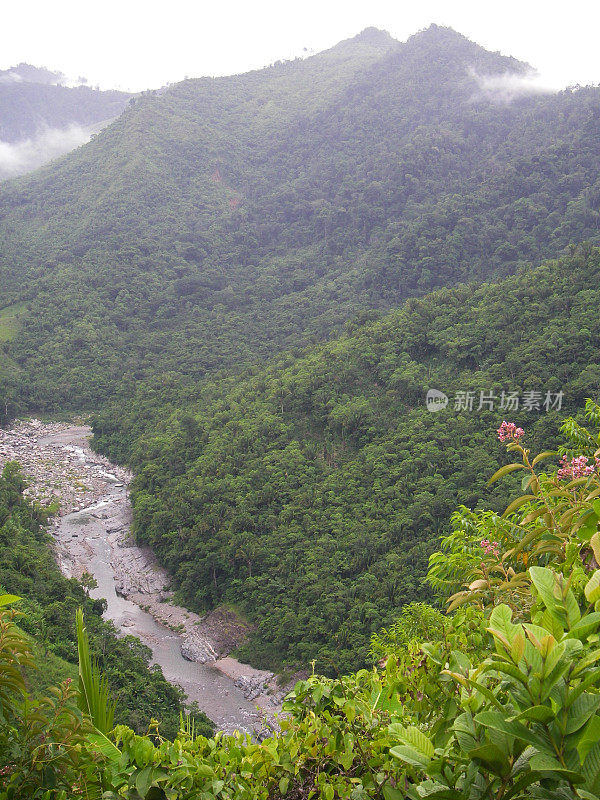 河流峡谷穿过原始热带雨林皮科博尼托洪都拉斯