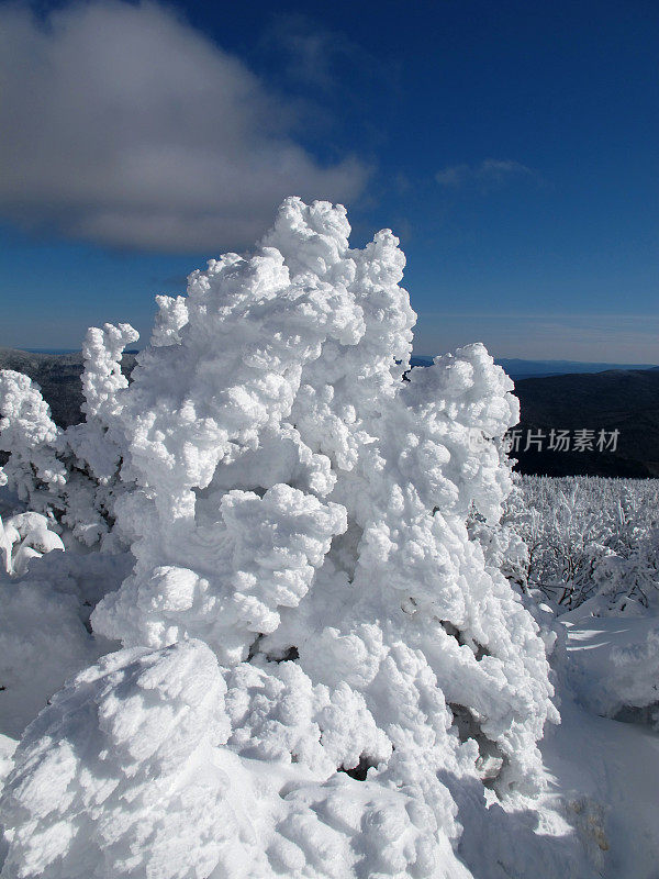 风吹雪和霜冰的外壳