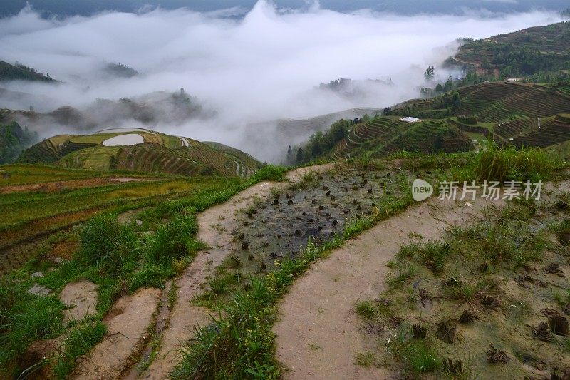 中国广西的龙胜梯田