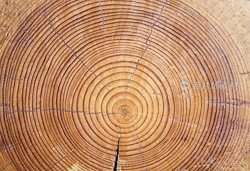 木材切割背景