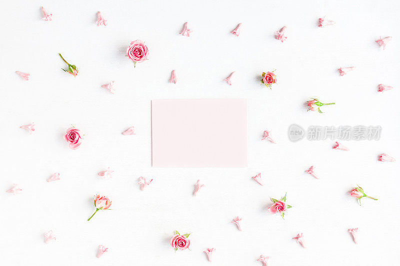 白纸和粉红色的花在白色的背景