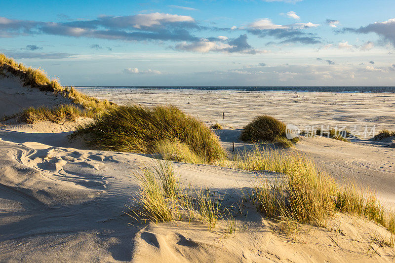 阿姆鲁姆岛北海海岸的沙丘