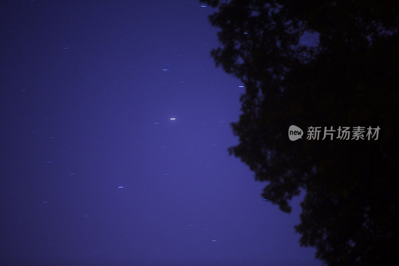 星星在夜晚的天空中，在树的上方