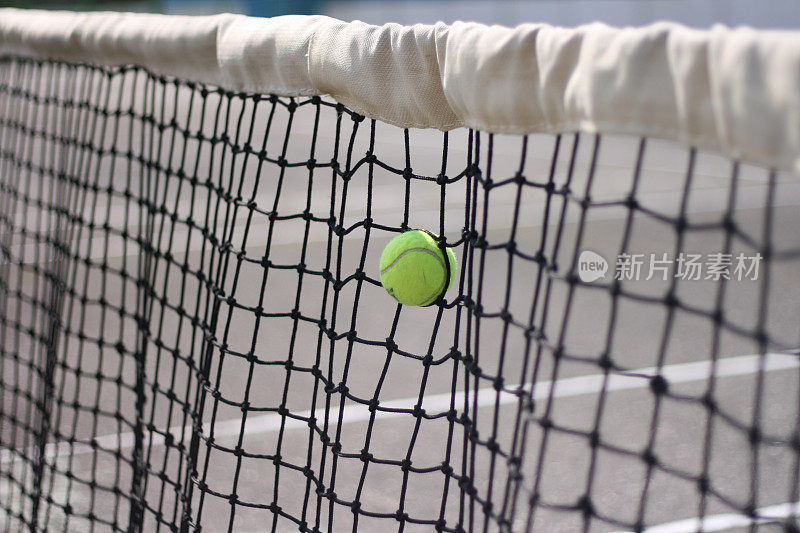 网球放在网里的网球
