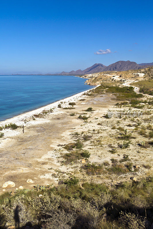 海地，西北，海岸线和加勒比海