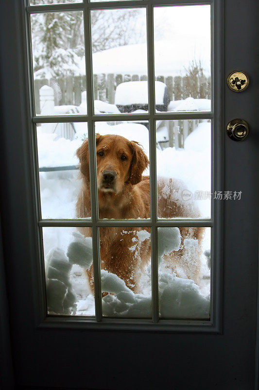 让我进来。