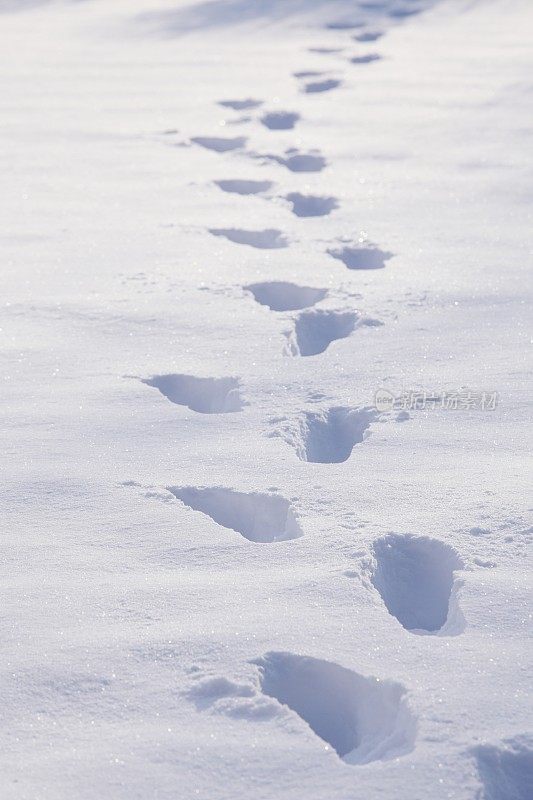 深深的雪地上的脚印-垂直的