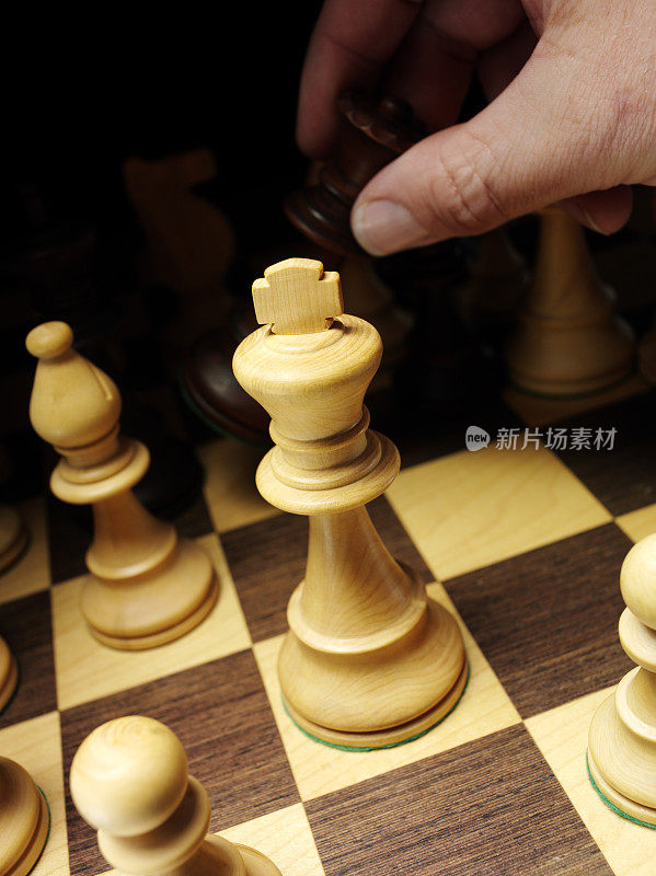 王后和国王下象棋