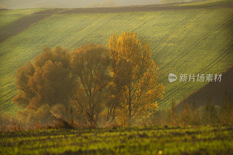 秋天的风景