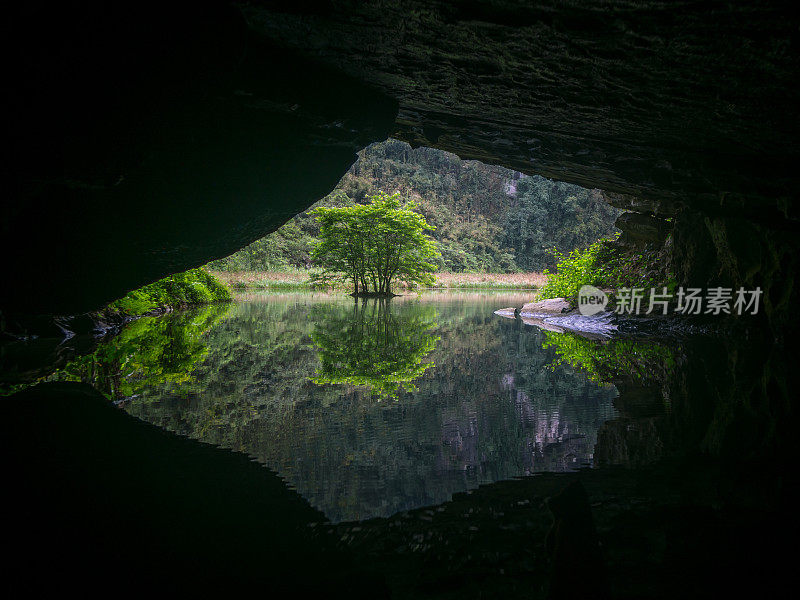 从水洞看小岛，水中倒映着树木