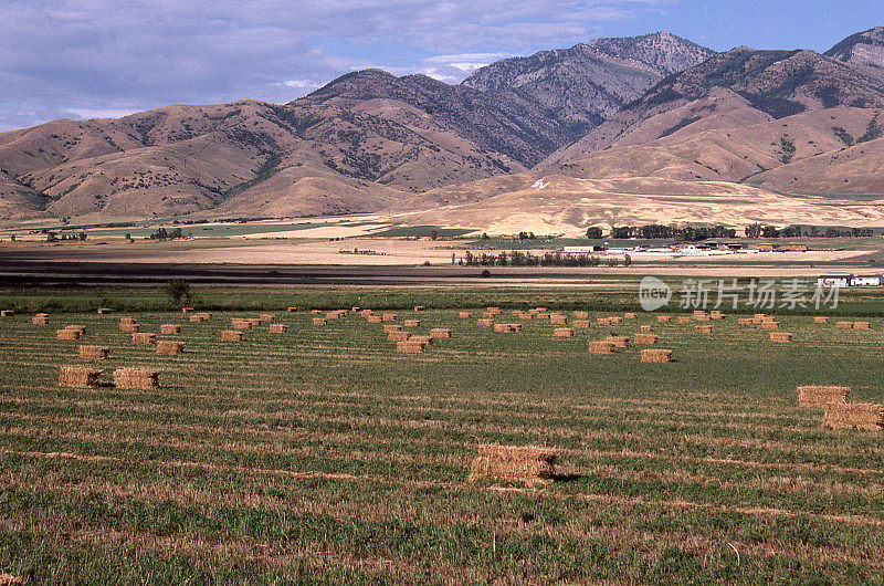犹他州中部莫纳和尼菲附近的干草堆田