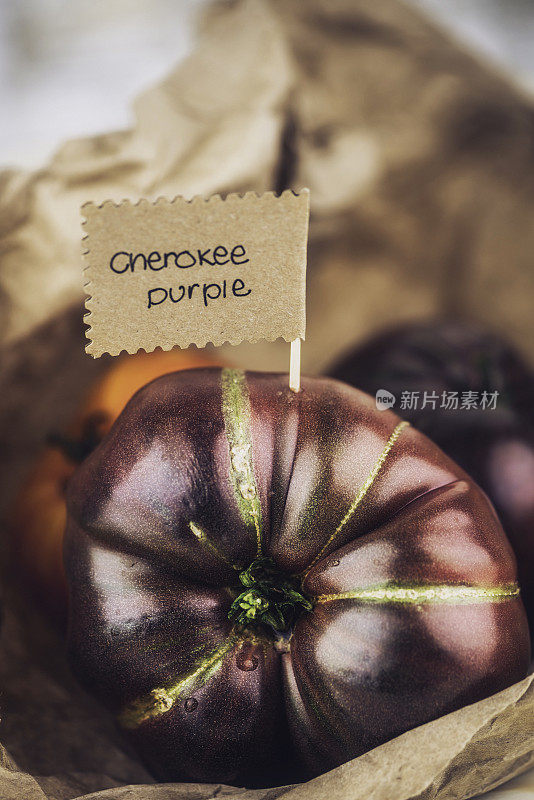 切罗基紫色祖传番茄。有机自家种植的新鲜番茄。健康饮食。