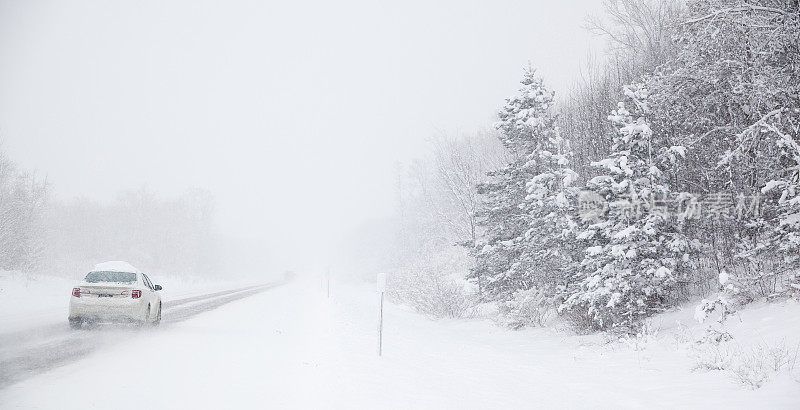 暴风雪在冬季森林的道路上