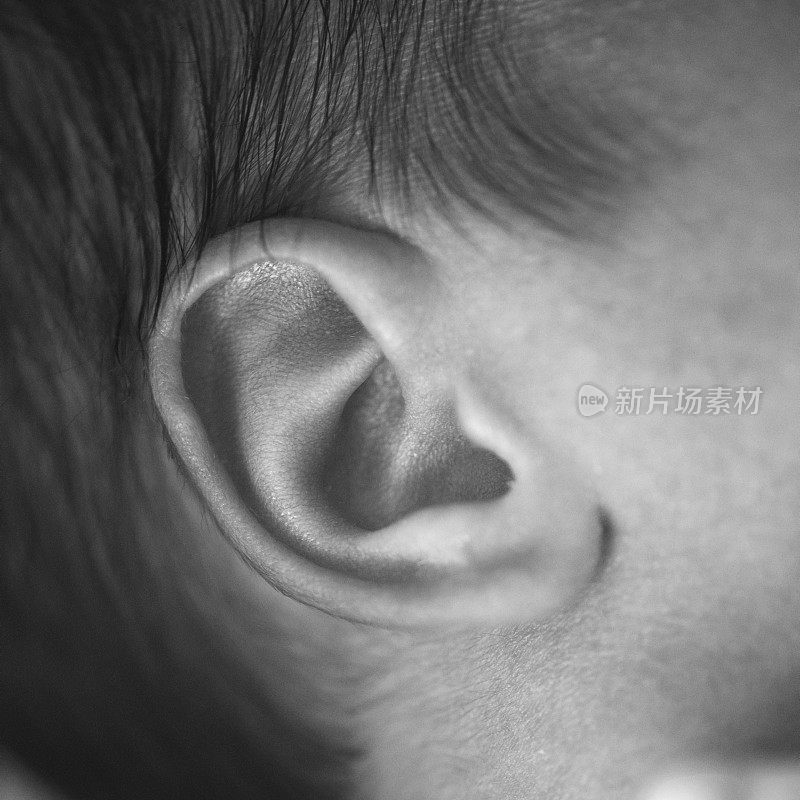 宝宝的耳朵