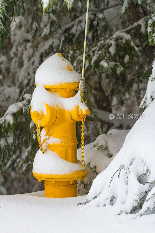 消防栓有雪