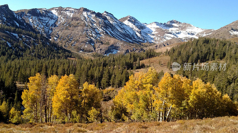 加州索诺拉帕斯附近的内华达山脉山谷和积雪覆盖的山峰上的秋天的颜色