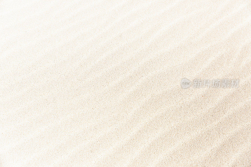 柔软和美丽的沙丘背景与复制空间