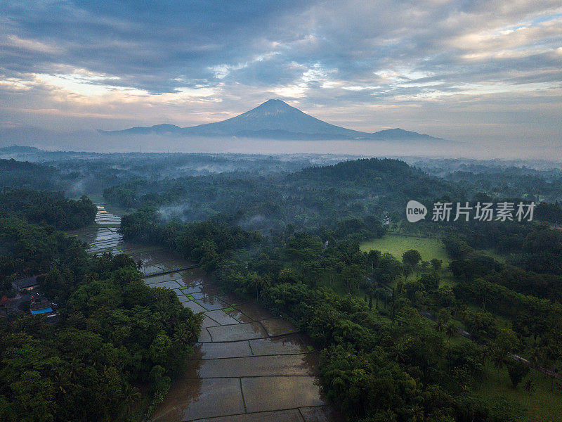 稻田和火山鸟瞰图婆罗浮屠，日惹，印度尼西亚