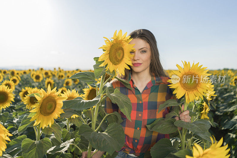 《夏日最美